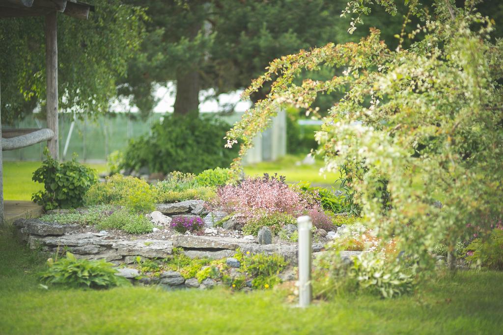 Arina Cottages Nasva Værelse billede